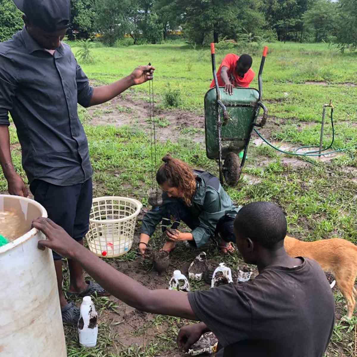 Eco conservation Zambia